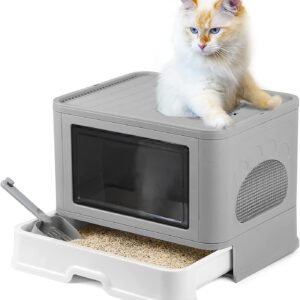 Caja De Arena Plegable Para Gatos